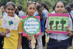 Plantation Drive