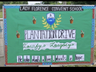 PLANTATION-DRIVE1