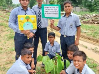 PLANTATION-DRIVE11