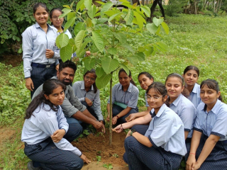 PLANTATION-DRIVE5