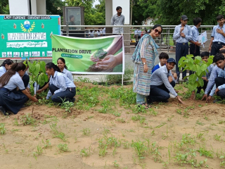 PLANTATION-DRIVE6